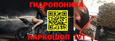кокс Берёзовский