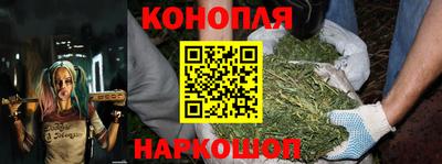 дживик Бийск