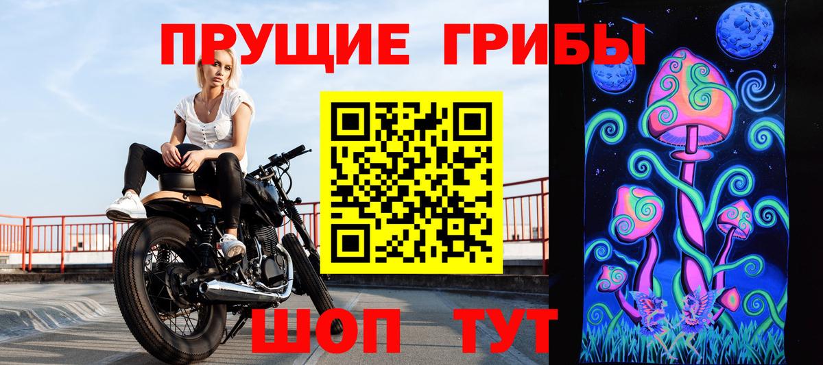 Псилоцибиновые грибы Magic Shrooms  Вход с VPN  что такое наркотик  Псилоцибиновые грибы прущие грибы  Зеленокумск 